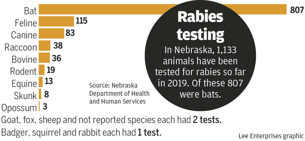 #3404_091119_rabies charts copy